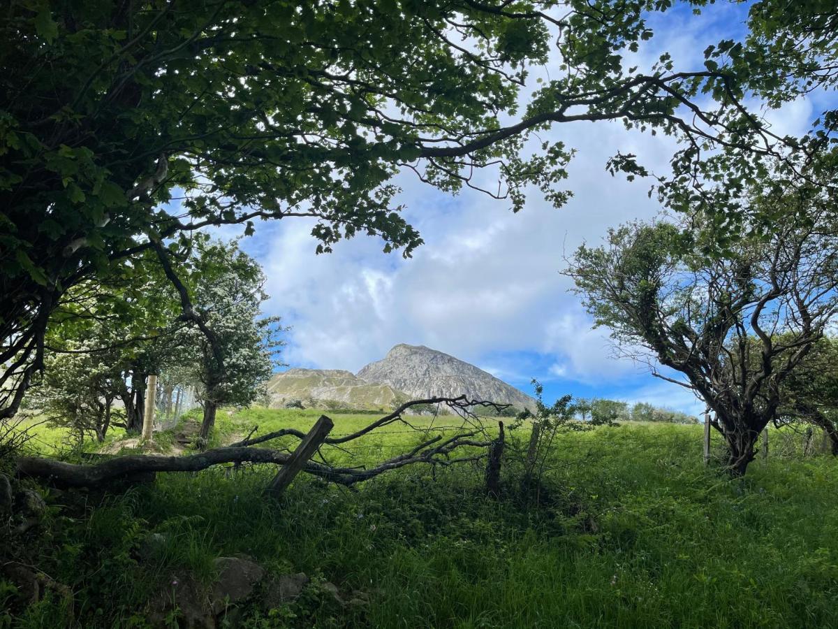 Villa Mynydd A Mor Trevor Esterno foto