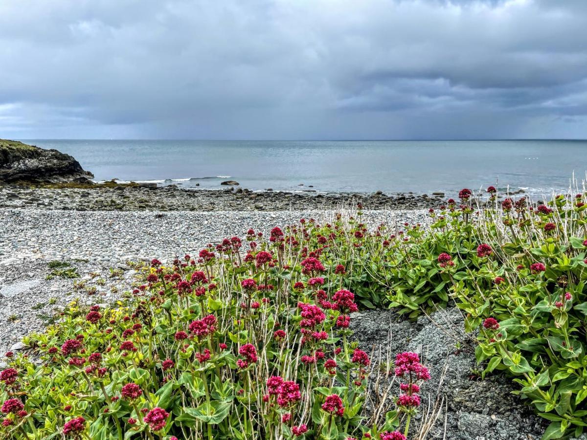 Villa Mynydd A Mor Trevor Esterno foto